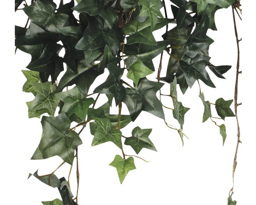 Lierre artificiel avec feuilles vertes