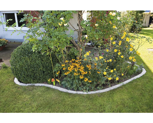 Scène de jardin avec parterre de fleurs, boule de buis et pelouse