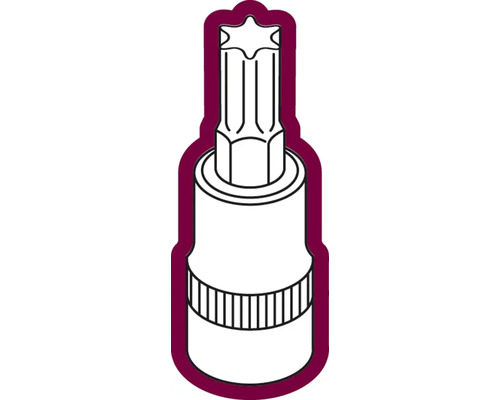 Torx Steckschlüssel