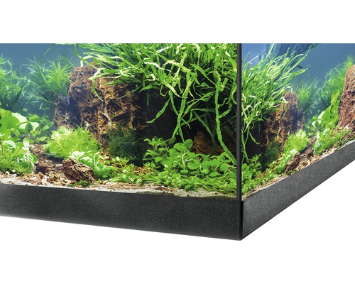 Detailansicht eines bepflanzten Aquariums mit Steinen und verschiedenen Pflanzen