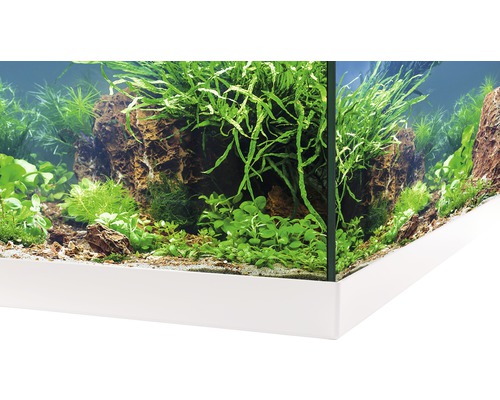 Detailansicht eines Aquariums mit Steinen, Pflanzen und weissem Unterschrank