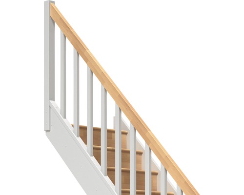 Escalier avec rampe et marches