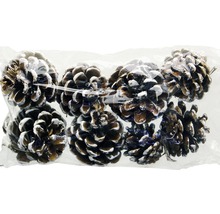 Packung mit Kiefernzapfen zur Dekoration