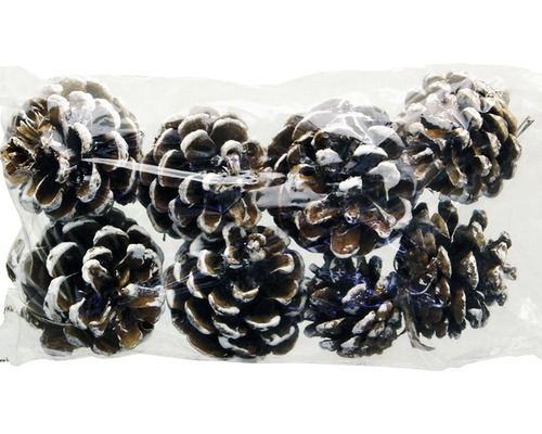 Packung mit Kiefernzapfen zur Dekoration