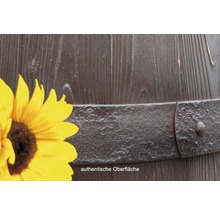 Gros plan d''une douelle avec cerclage métallique et tournesol