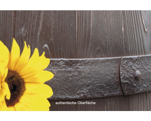Gros plan d''une douelle avec cerclage métallique et tournesol
