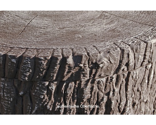 Vue détaillée d''une souche d''arbre en pierre