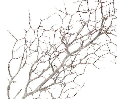 Branche décorative avec des branches filigranes pour la décoration intérieure