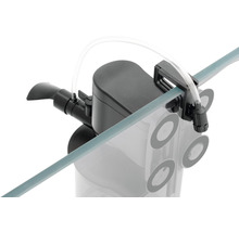 Aquarienfilter zur Reinigung des Wassers