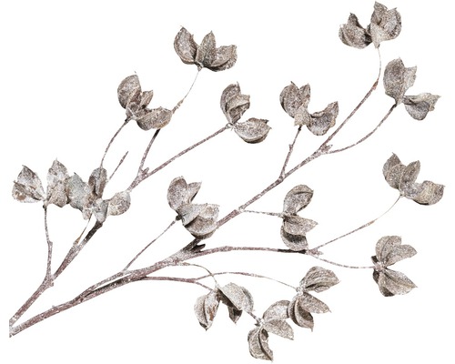 Branche décorative avec inflorescences