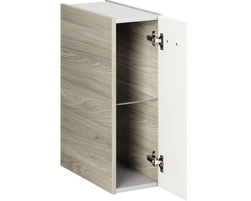 Hängeschrank mit einer Tür, offen mit Glasregal