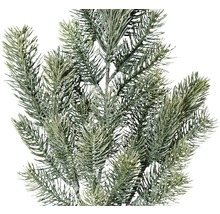 Gros plan d''une branche de sapin artificielle