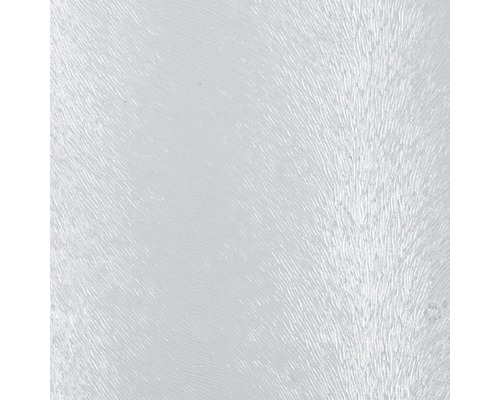 Insert en verre PS 5.0 Chincilla transparent 142.0x53.5 cm
