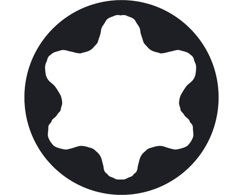 Torx Profil