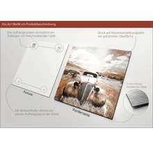 Panneau composite en aluminium imprimé d''un motif, avant et arrière avec système de suspension représenté