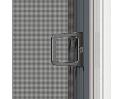 Detailansicht einer Insektenschutztür mit Griff