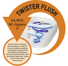 Twister Flush System zur WC-Reinigung