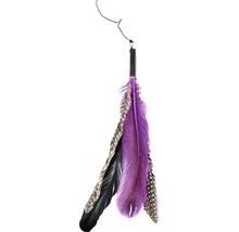 Jouet pour chat canne à pêche à plumes avec plumes