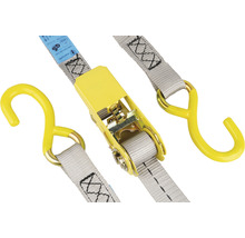 Spanngurt mit Ratsche und Haken