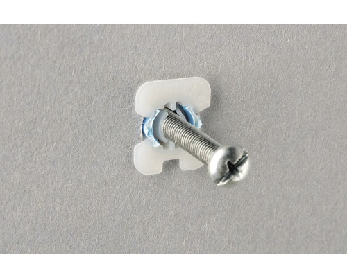 Élément de fixation avec vis