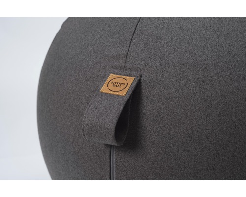 Grauer Sitzball mit Griff und Sitting Ball Logo
