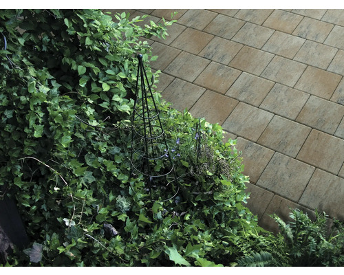 Chemin de jardin en pavés à côté de plantes vertes avec support grimpant