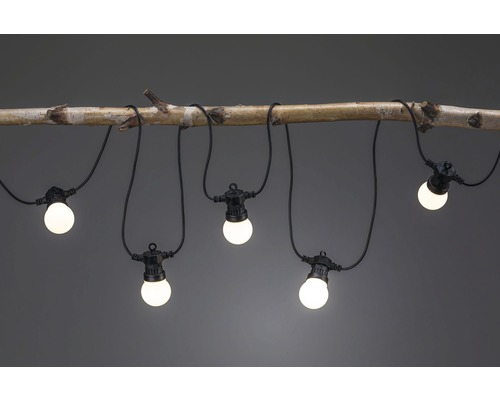 Lichterkette mit Glühbirnen an einem Ast