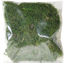 Verpackung mit Islandmoos