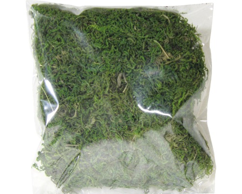 Verpackung mit Islandmoos