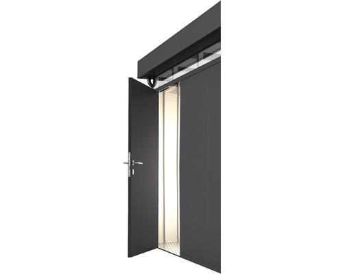 Porte supplémentaire biohort CasaNova à gauche, 95x200 cm, gris foncé-métallisé Porte ouverte avec cadre