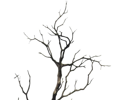 Dekorativer, kahler Baumzweig für Innenräume