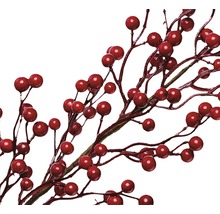 Branches décoratives avec des baies rouges