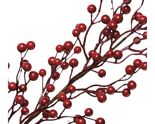 Branches décoratives avec des baies rouges