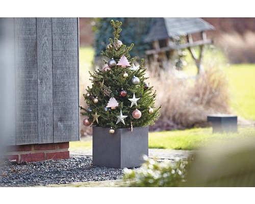 Dekorierter Nadelbaum im Pflanzgefäß für den Aussenbereich