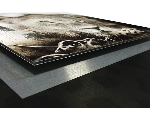 Aluminiumverbundplatte mit Motivdruck
