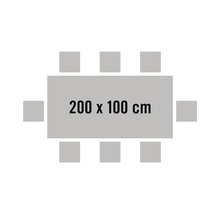 Tisch mit acht Stühlen, Tischgröße 200 mal 100 Zentimeter