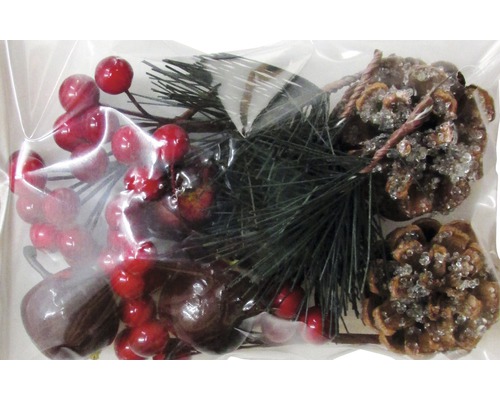 Dekoration mit roten Beeren, Tannenzweigen und Zapfen