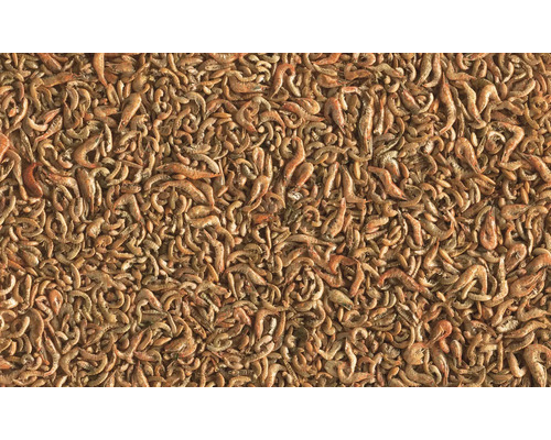 Fond avec des crevettes séchées comme aliments pour animaux