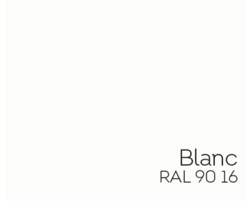 Couleur Blanc RAL 9016