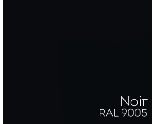 Échantillon de couleur noir RAL 9005