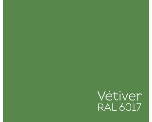 Farbmuster Vétiver RAL 6017