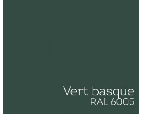 Farbmuster Vert Basque RAL 6005