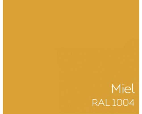 Échantillon de couleur miel RAL 1004
