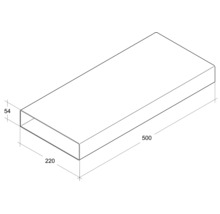 Technische Zeichnung eines Rechteckrohrs mit den Massen 500 x 220 x 54 mm
