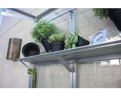 Étagère avec plantes et thermomètre