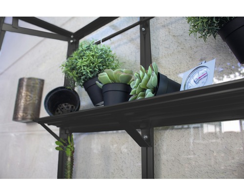 Regal im Gewächshaus mit Pflanzen und Thermometer