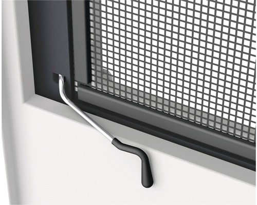 Detailansicht eines Insektenschutzfensters mit Griff