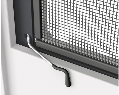 Fliegengitter mit Drehgriff am Fenster