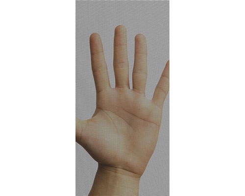 Main derrière une moustiquaire
