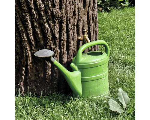Arrosoir vert à côté d''un arbre avec robinet